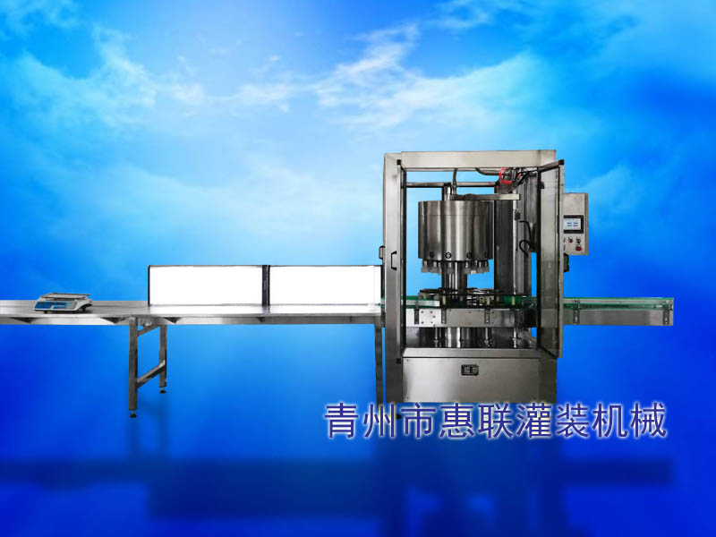 電子定量果酒灌裝生產(chǎn)線